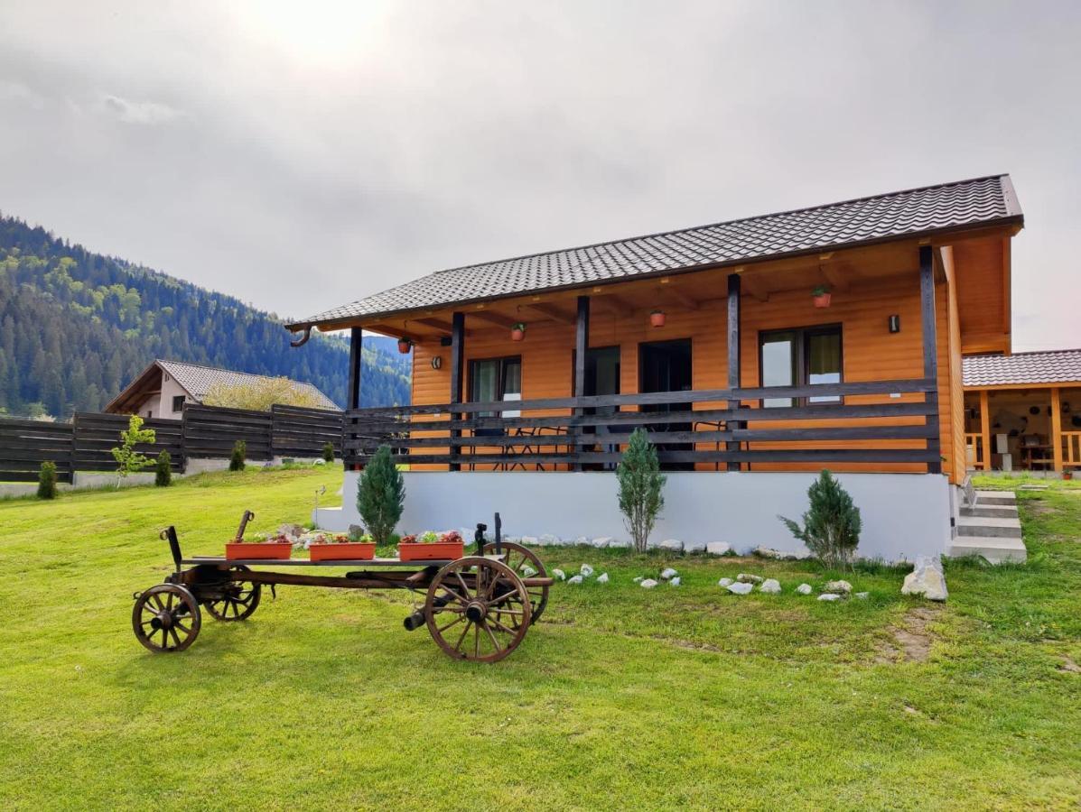 Casa Poiana Teiului Hotel Exterior foto